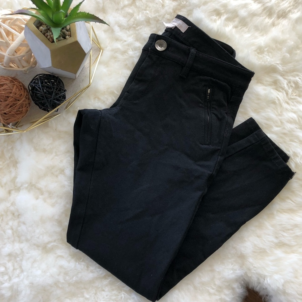 Banana Republic Sloan Fit Zippered Pants